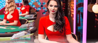 Slots at vip88800